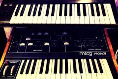 Tiesto's Moog Prodigy