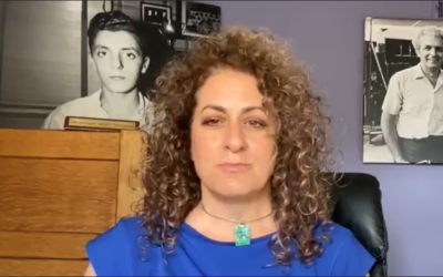 VIDEO: Bob Moog Foundation Executive Director Speaks on the Sale of Moog Music to inMusic