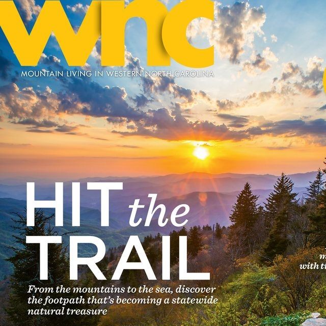 WNC Magazine Moogseum